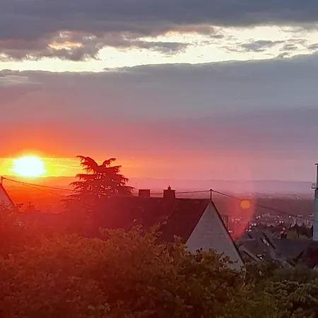 Traumblick-neustadt * Neustadt an der Weinstraße